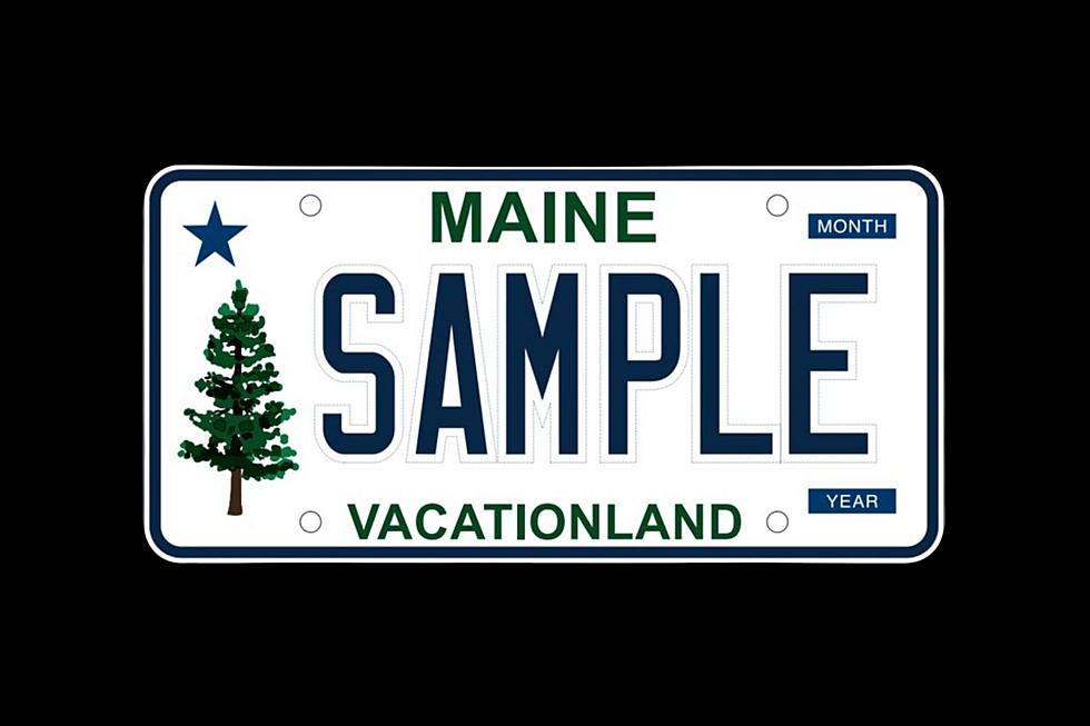 Take a Look at What the New Maine License Plates Look Like