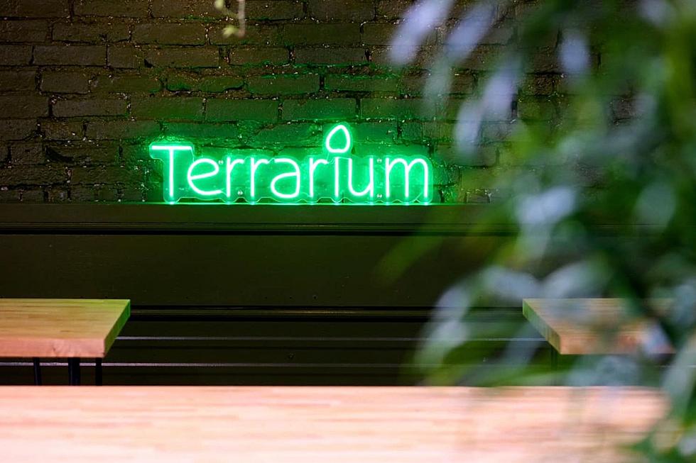 Build Your Own Magical Terrarium in Portland, Maine