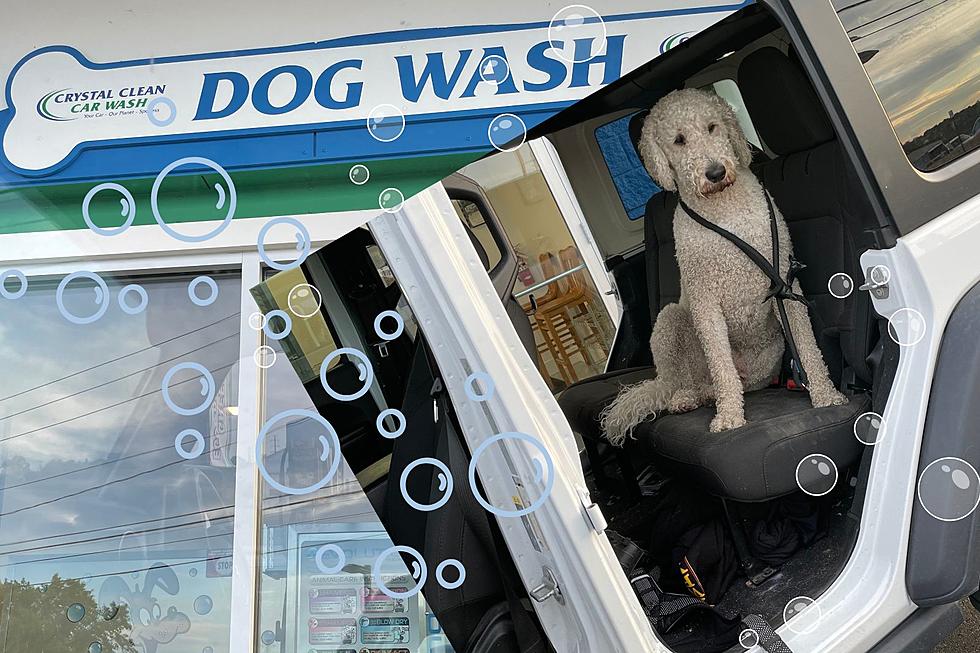 There's a DIY Dog Wash Connected to This Maine Car Wash