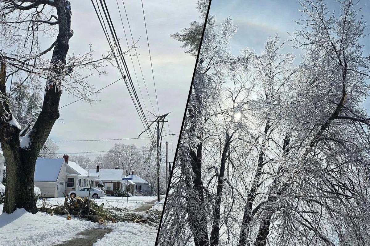 6 Takeaways From My First-Ever Maine Ice Storm Experience