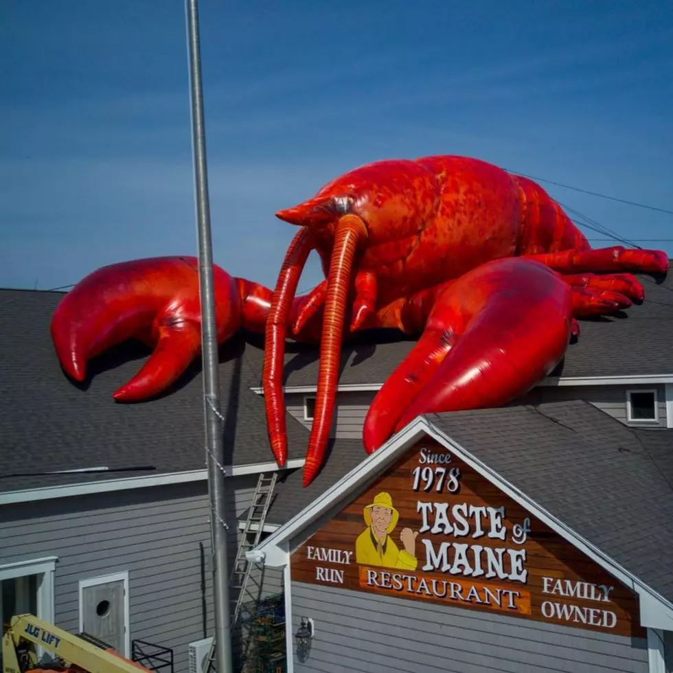 Maine Restaurant With World’s Largest Lobster Roll Opens for 46th Season
