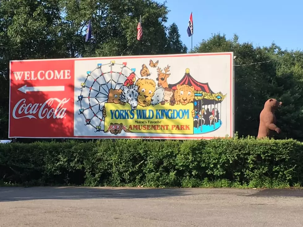 Maine Zoo York’s Wild Kingdom Reveals Opening Day 2024