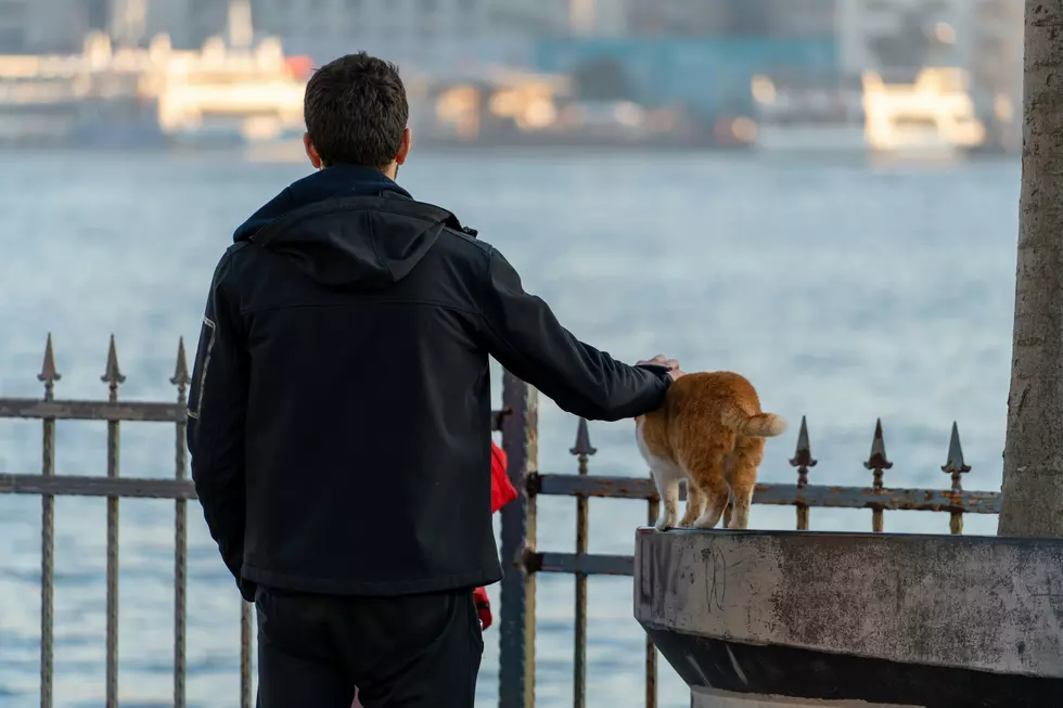 Photo by Selcuk S on Unsplash