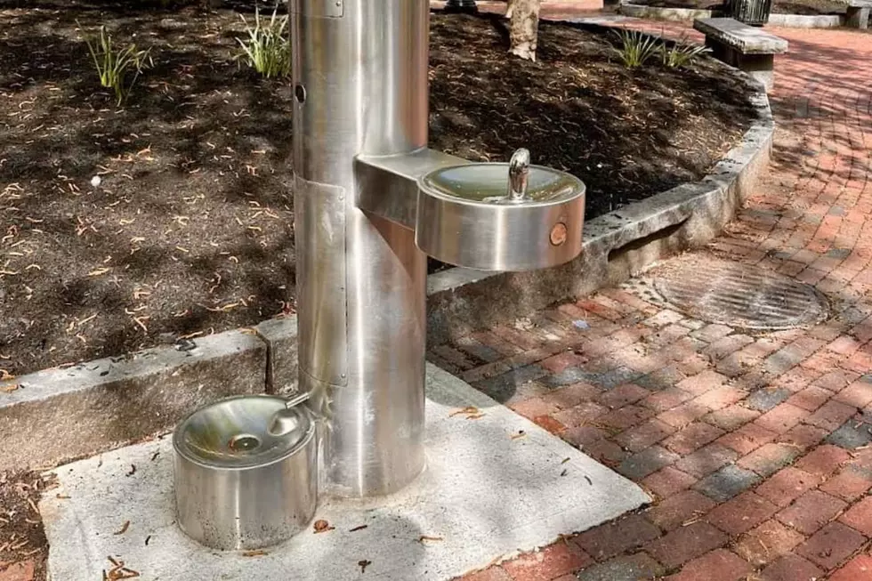 Portland, Maine&#8217;s Newest Attraction: The Adorable Pet and Owner Water Fountain