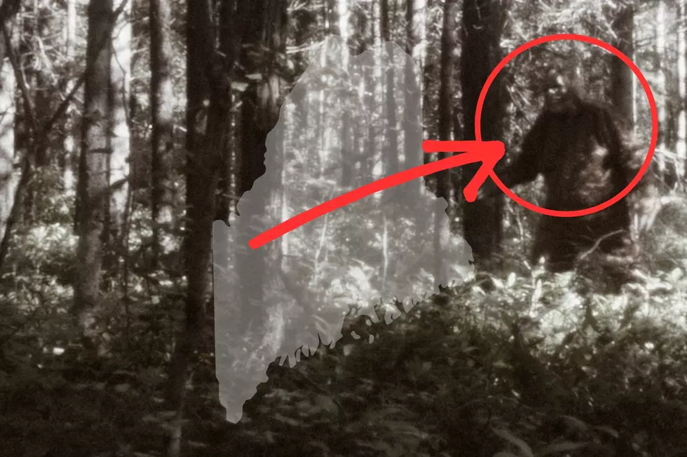 Here Are 9 Maine Counties Where Bigfoot Has Been Spotted