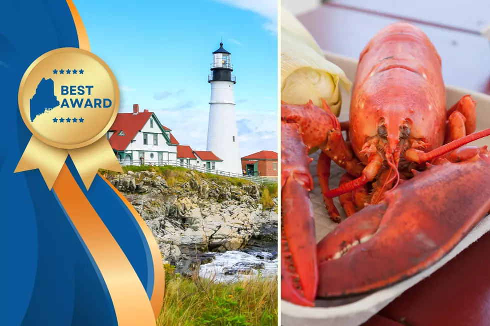 20 Things That Make Maine the Absolute Best State Ever