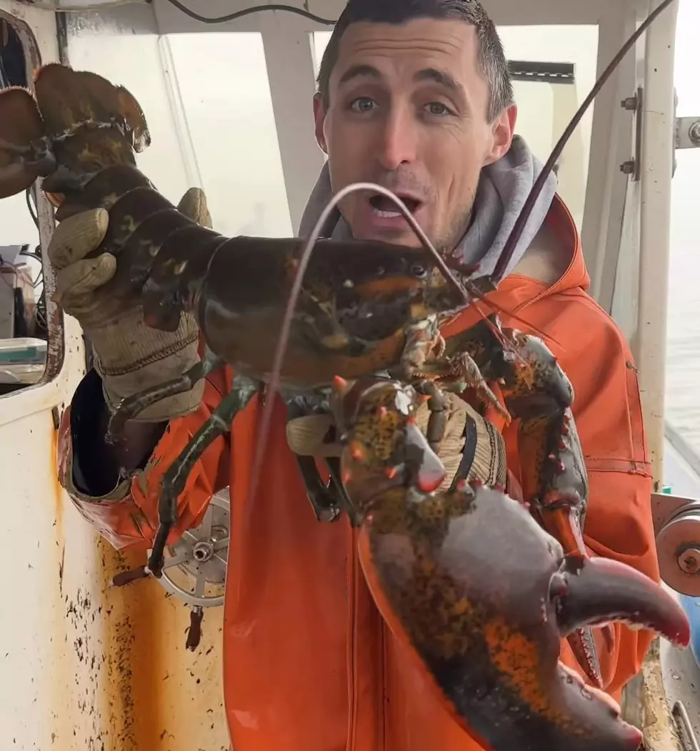 Mainer Says Huge Lobster He Caught Could Easily Be 100 Years Old