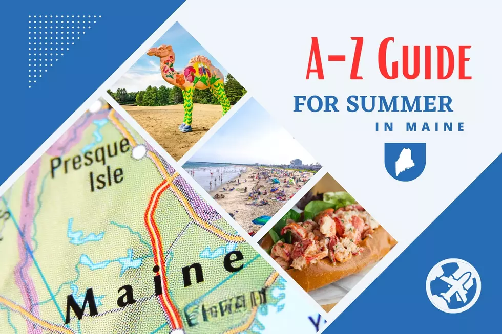 From Acadia to Zoos: The Ultimate A-Z Guide to Have Your Best Summer in Maine
