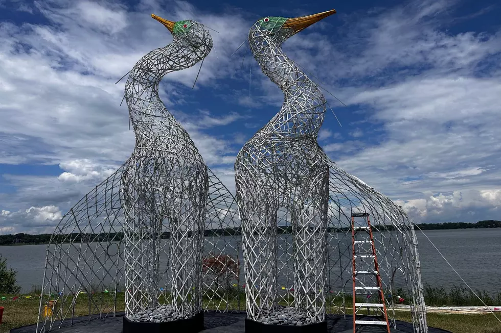 Don’t Miss These Temporary Giant Bird Statues Towering 20 Feet Over Back Cove in Portland, Maine