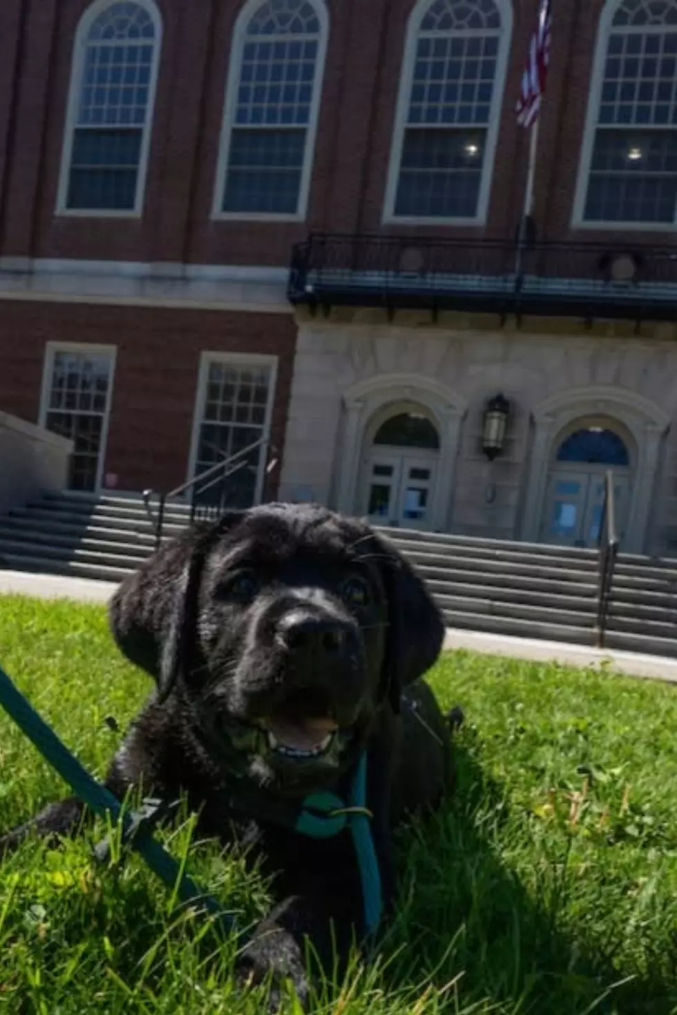 University of Maine Police Department via Facebook
