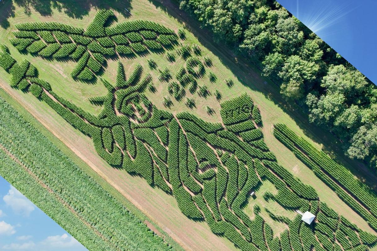 Award-Winning Treworgy in Maine Reveals Patriotic 2026 Corn Maze