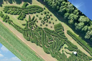 Award-Winning Treworgy in Maine Reveals Patriotic 2026 Corn Maze