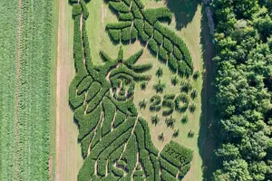 Treworgy Family Orchards in Maine Named Best Corn Maze in US