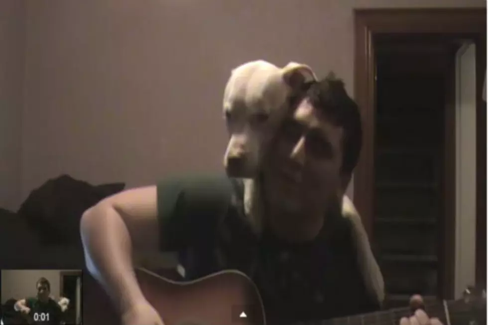 Snuggly Dog Likes Being Sung To!