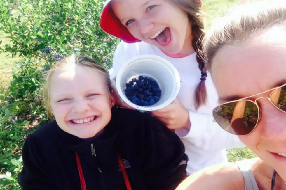 Maine Blueberry Picking Time! [PHOTOS]