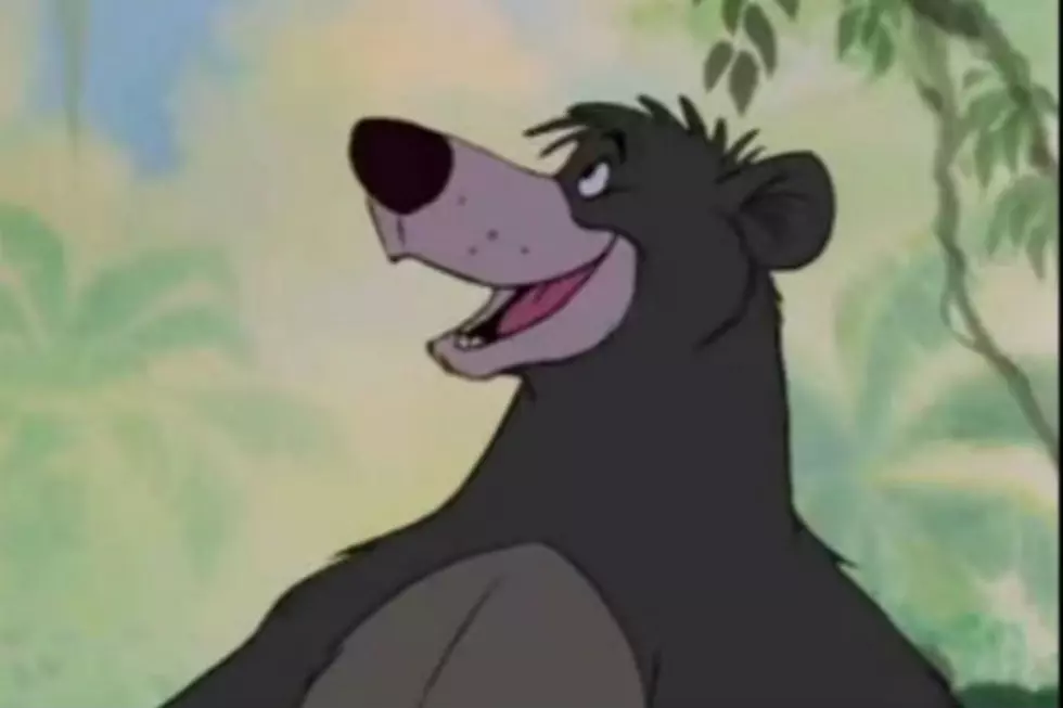 BLM Morning Show Bear of the Day, Baloo!