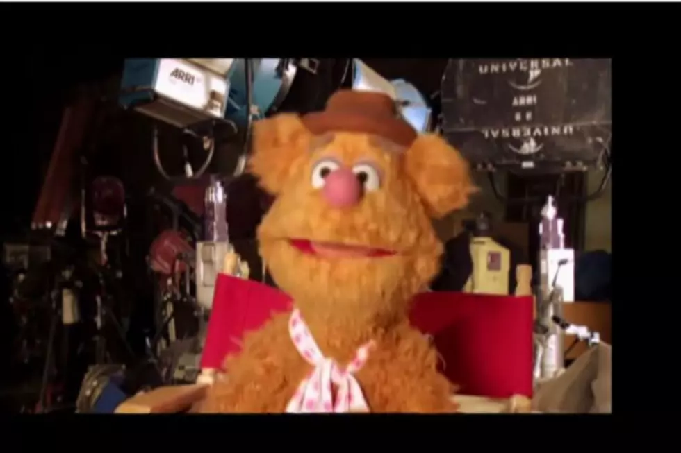 WBLM Morning Show Bear of the Day: Fozzie! [VIDEO]