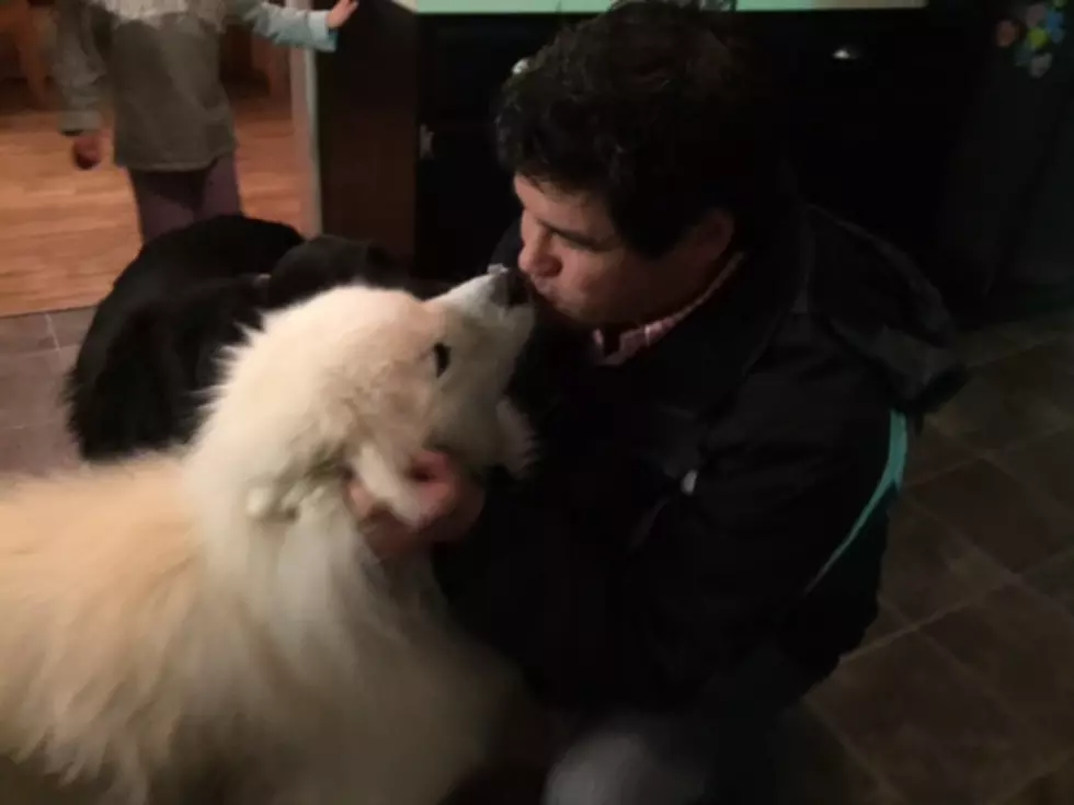 He Kisses the Dog. Then Me! I Get Sloppy Sammy Seconds! [VIDEO]