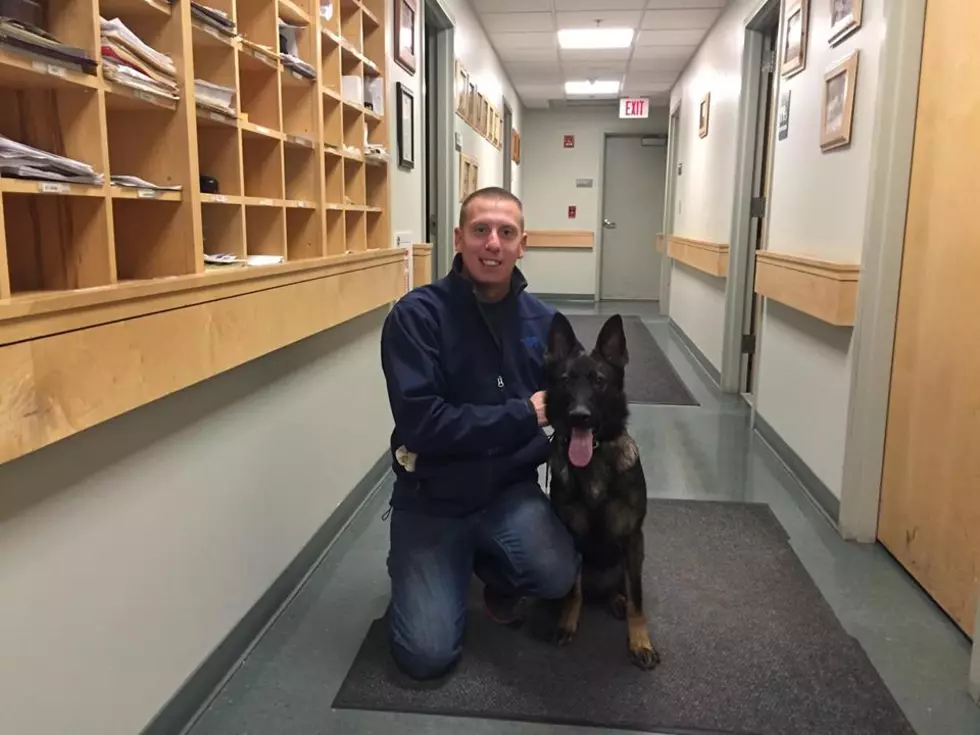 Meet “Brook”- The New Police Dog in Westbrook