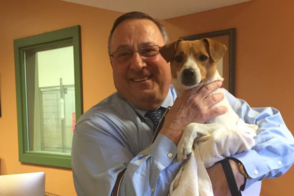 Governor Paul LePage Rescued a New Dog &#038; Gave Him a Political Name