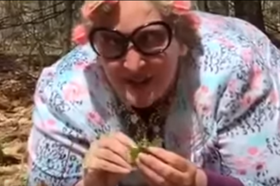 Watch: Wicked Funny NH Woman Goes Viral Pickin’ Fiddleheads