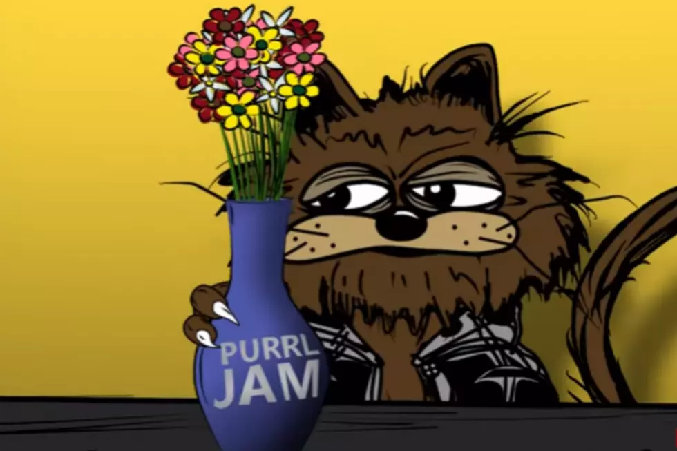 Loved Kitties in Chains? Now You Have to See Purrl Jam!