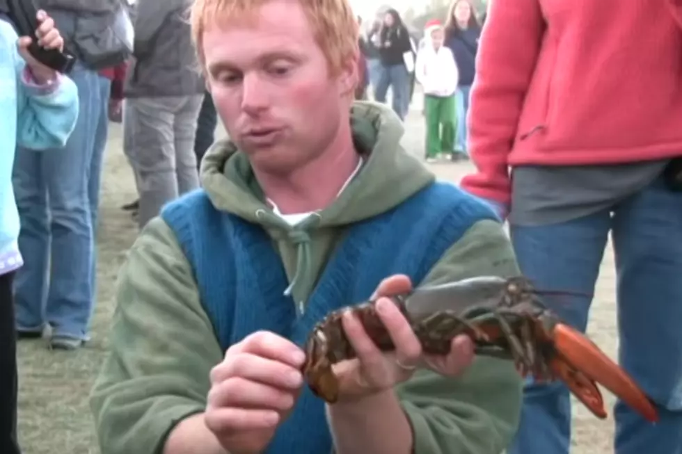 WATCH: Everything You Need to Know &#8216;Bout Maine Lobstahs in Under 4 Minutes