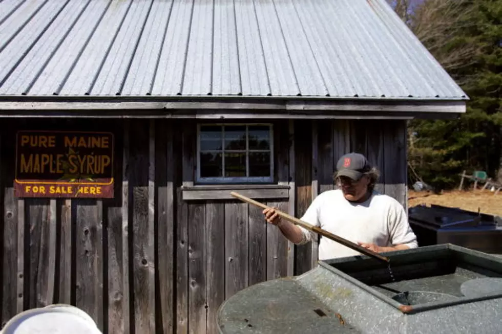 WATCH: Maine Maple Sunday, Now With Beer!