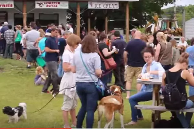 Live Music! Beer! Kid and Pet Friendly! Get Your &#8216;Last Bash&#8217; Tickets Now! [VIDEO]