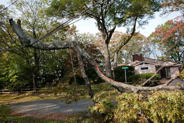 Downed Line Safety Reminders, Because No Line Is Safe To Touch, EVAH! [VIDEO]