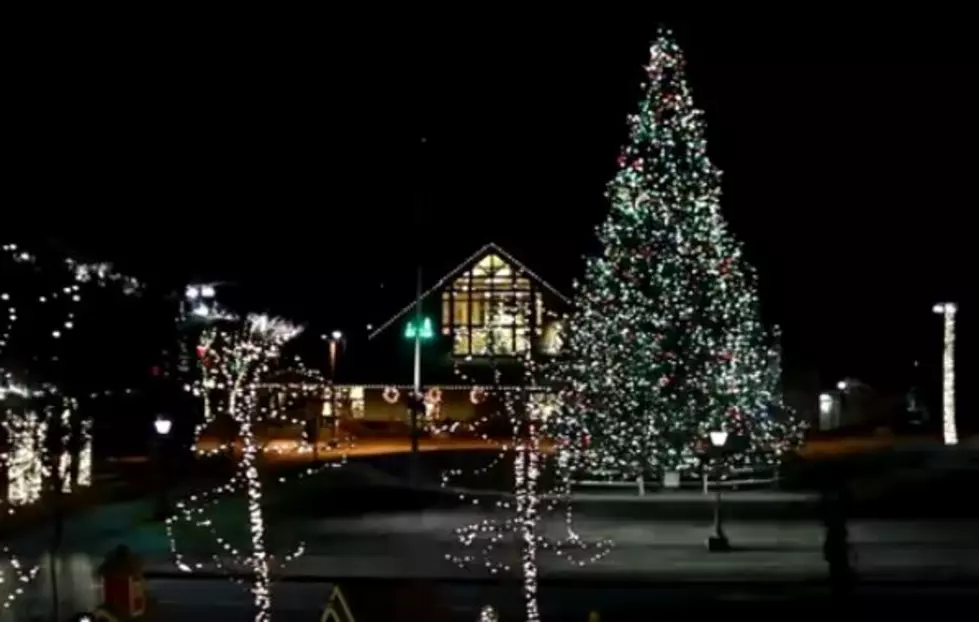 Enjoy The Magical Northern Lights Celebration at L.L. Bean! [VIDEO]