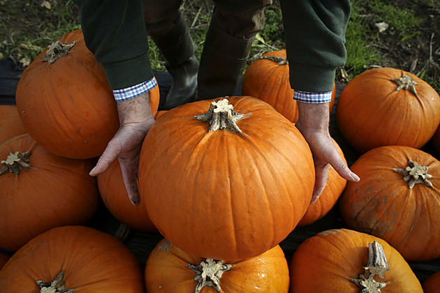 Here Are Some Ideas to Use Those Pumpkins Before The Frost Comes!