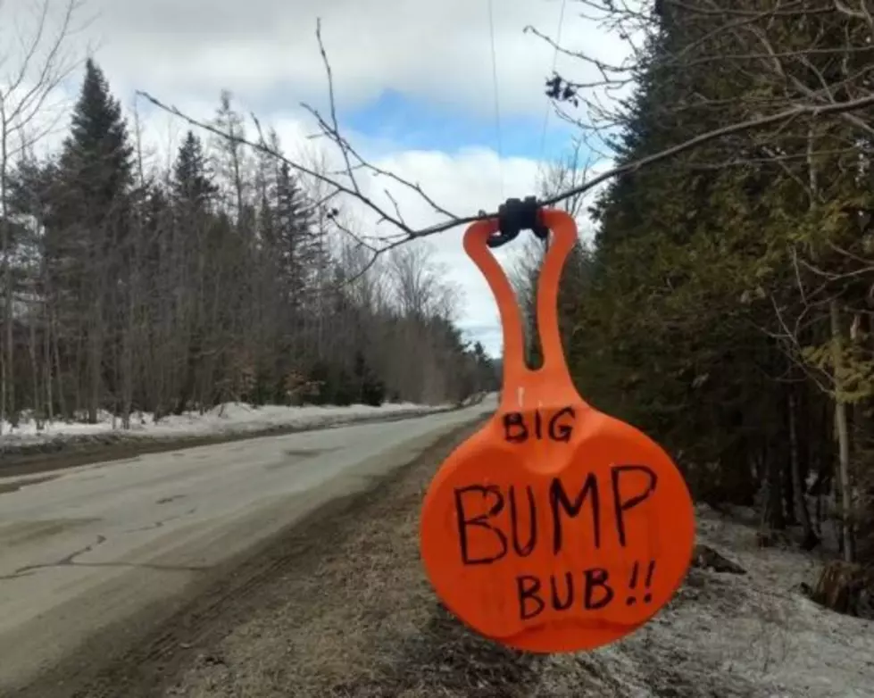 A Homemade Road Sign You Would Only Find in Maine