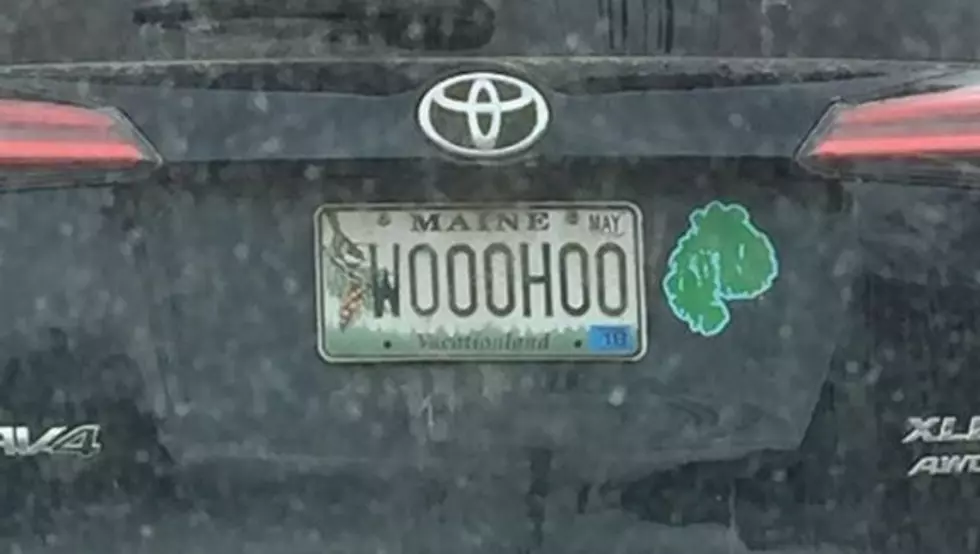 Morning Show Highlight: Morgan Is the King of Maine Vanity Plates
