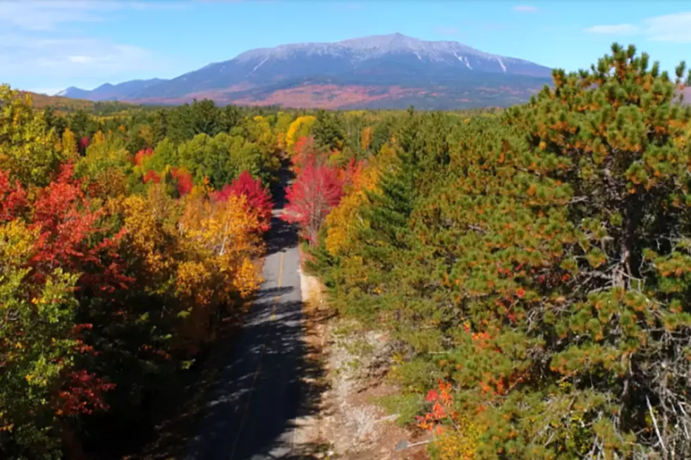 Maine&#8217;s Official Final Fall Foliage Report