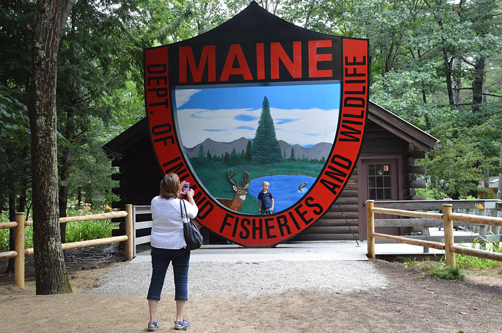 Maine Wildlife Park Closing for the Winter Soon