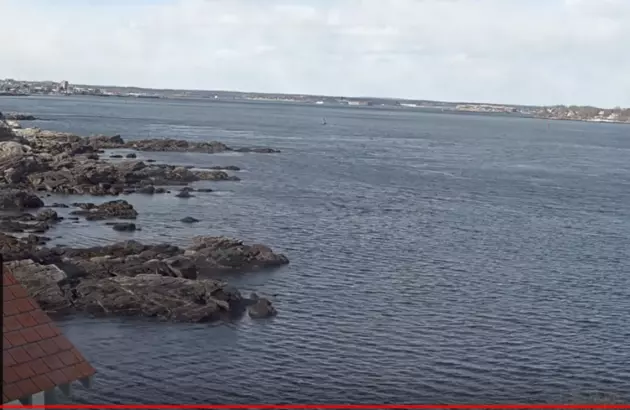 These Two Live Webcams Will Give You Your Maine Moment of Zen For the Day