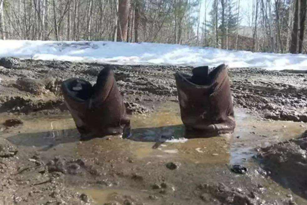 Wicked Funny: Maine's Official Mud Season Music Video