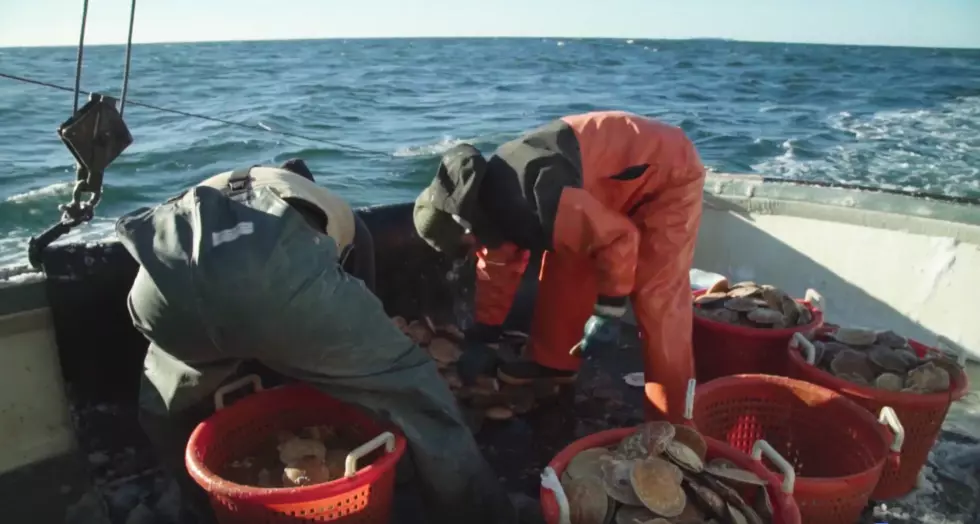 WATCH: A Salute To Maine Scallop Dragging, Bub