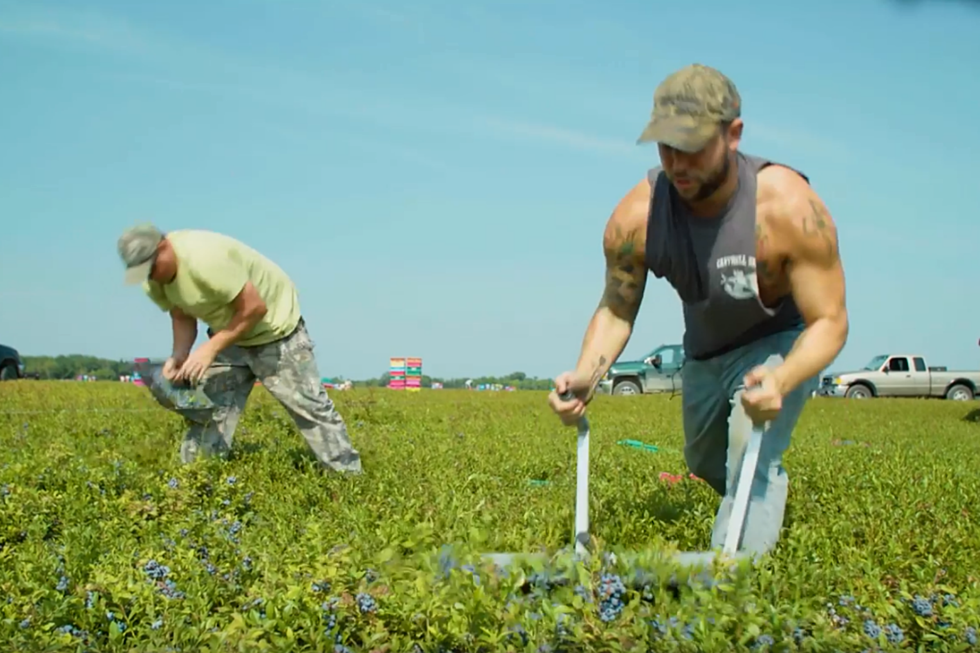 Maine TV Show “From Away” Is Back And All-New
