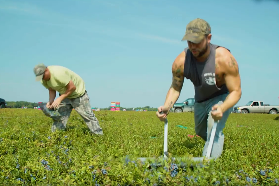 Maine TV Show &#8220;From Away&#8221; Is Back And All-New