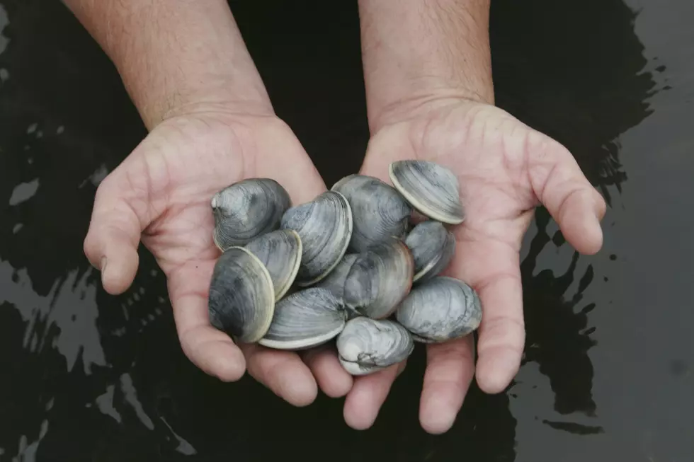 The Yarmouth Clam Festival Is This Weekend, Details and Road Clos
