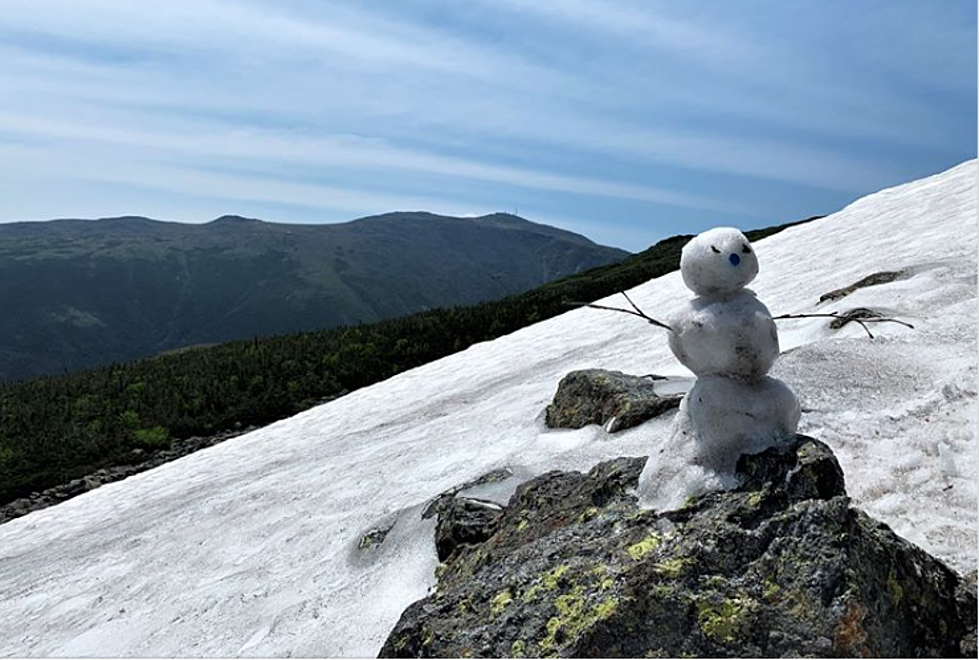 Who Built A Snowman in July? We Want Names.