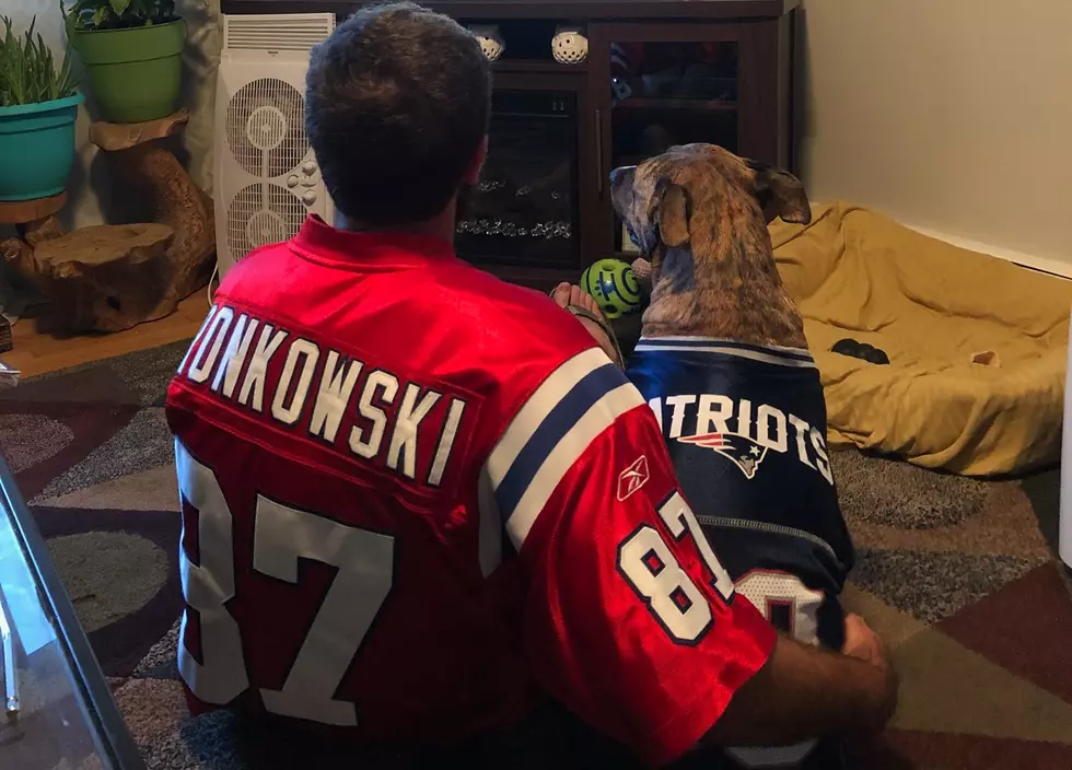 Pets Pride: Gorham Pup Loves Watching New England Football