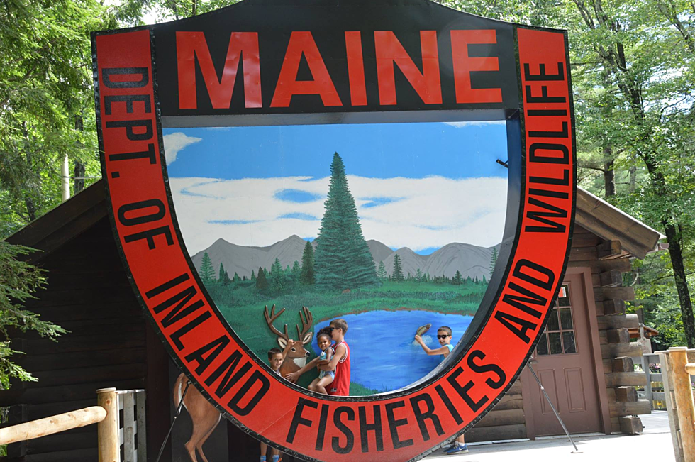 Maine Wildlife Park in Gray Closes November 11