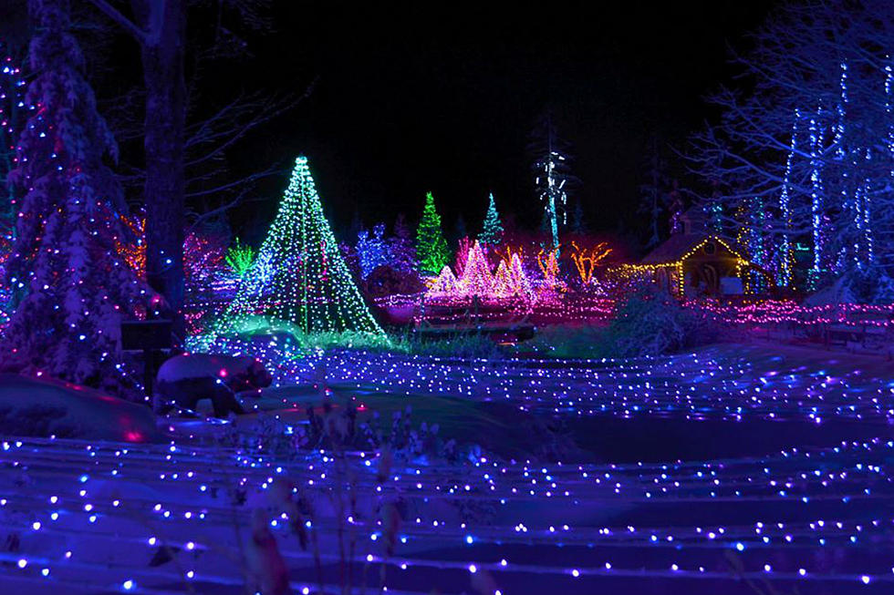 Get in the Holiday Spirit: Gardens Aglow at the Coastal Maine Botanical Gardens Set to Open