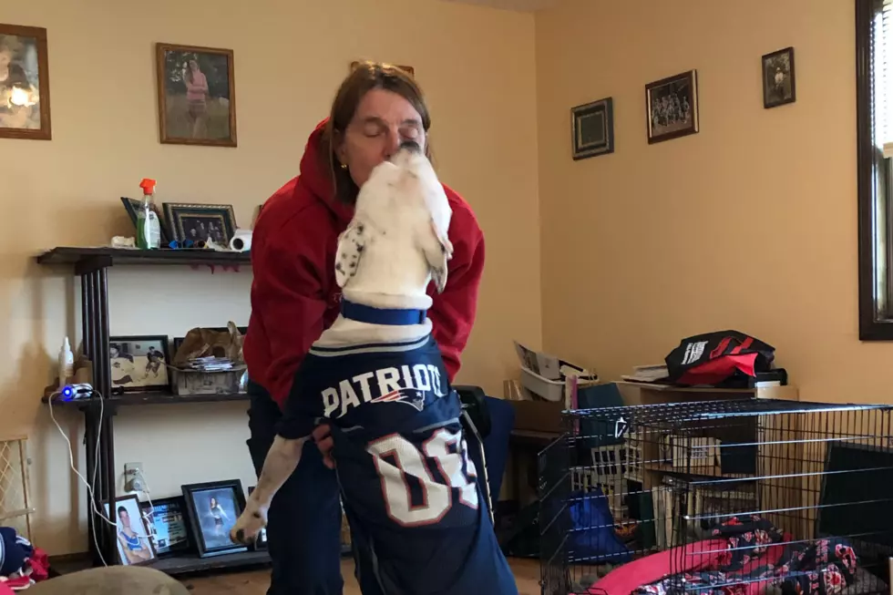 Pets Pride: Manny Gets Pumped for New England Football