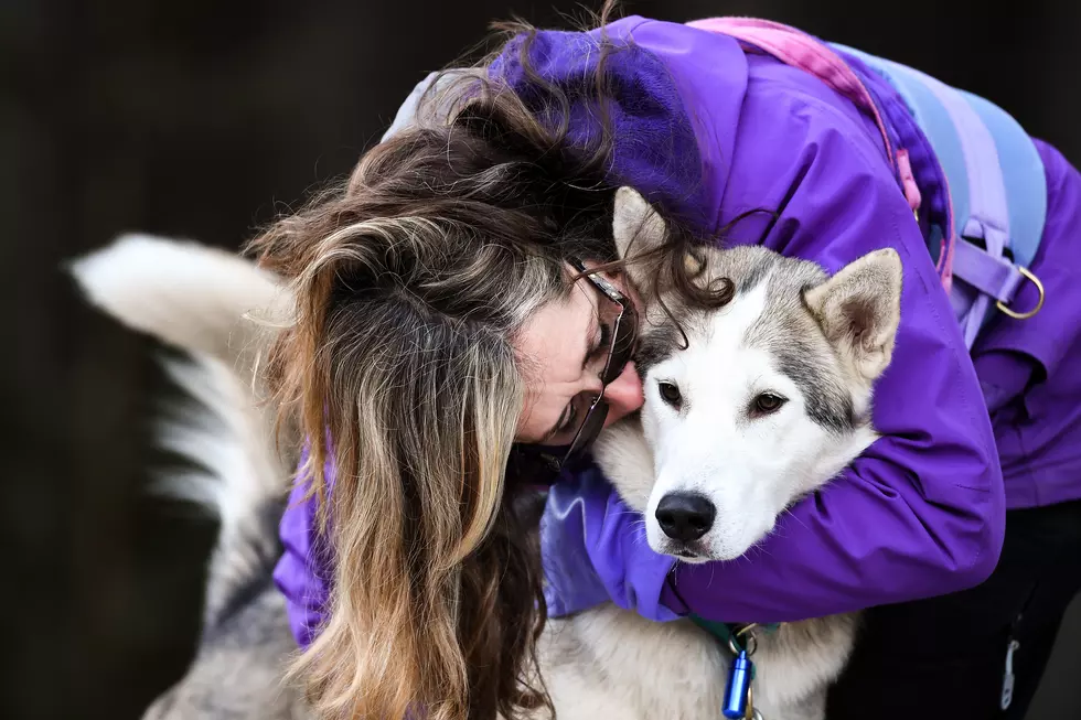 Museum of Science In Boston Spotlights Woofers In February