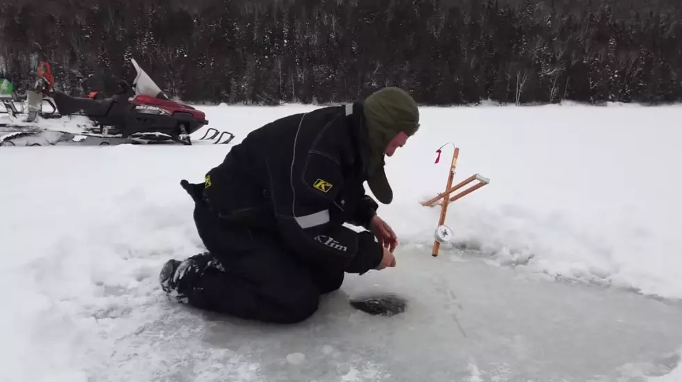 Watch: Wicked Big Fish Hauled Out Of Icehole In Northern Maine
