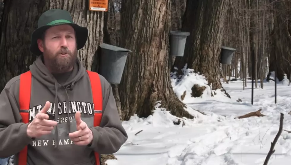 Hillbilly Weatherman Says We’ll Get An Early Spring [NSFW]